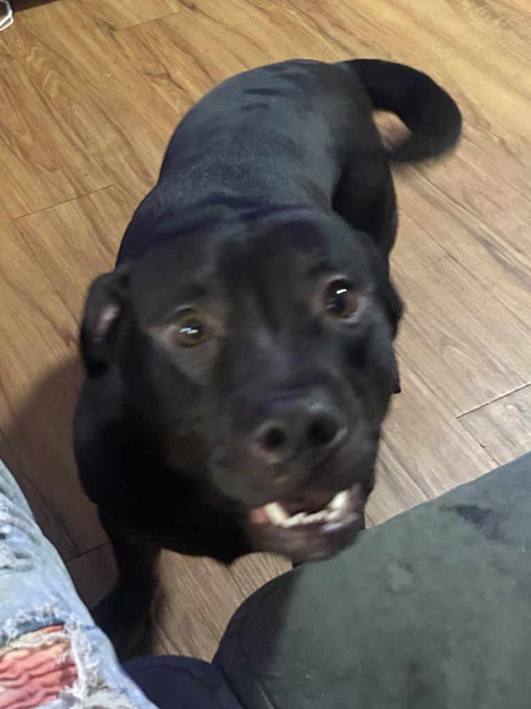 Beast Courtesy Listing