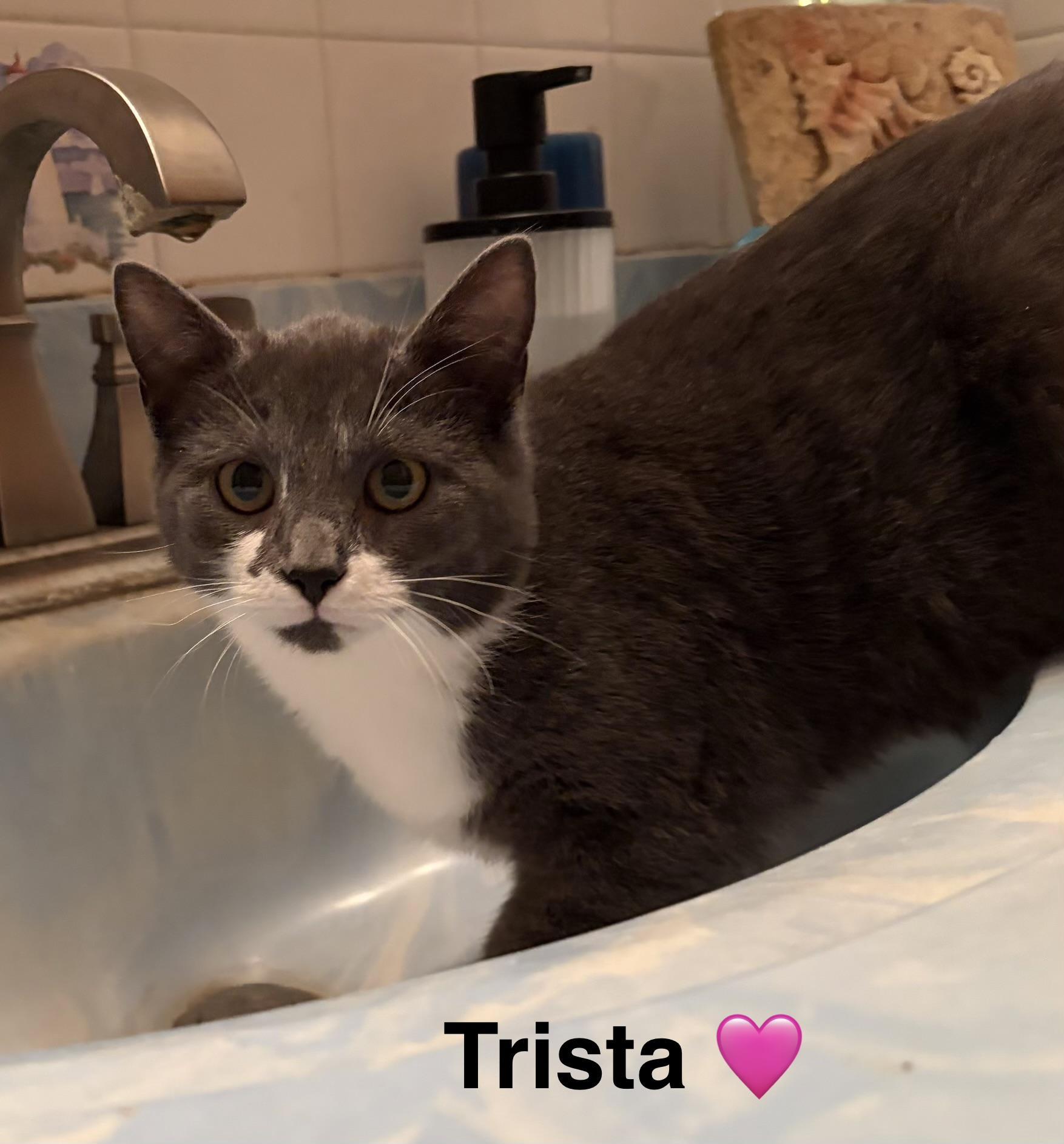 Trista