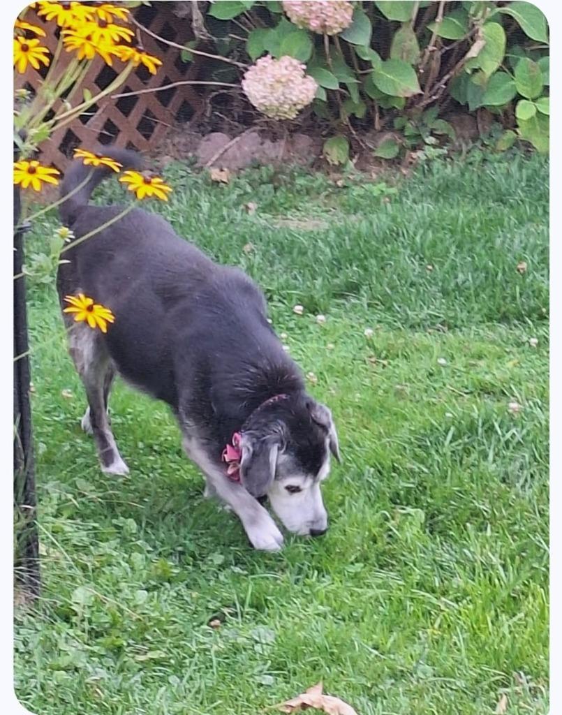 Tucker Courtesy Listing