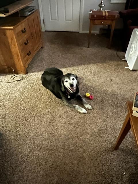 Tucker Courtesy Listing