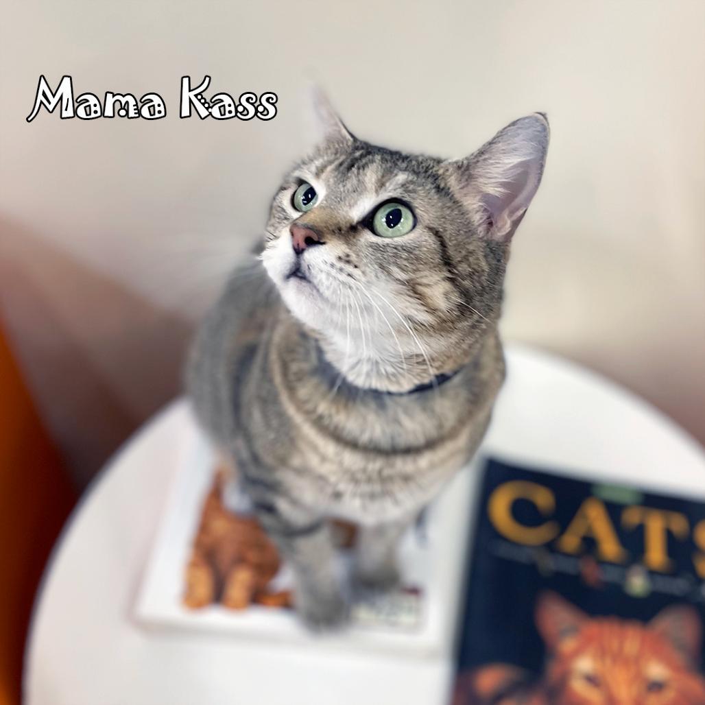 Mama Kass