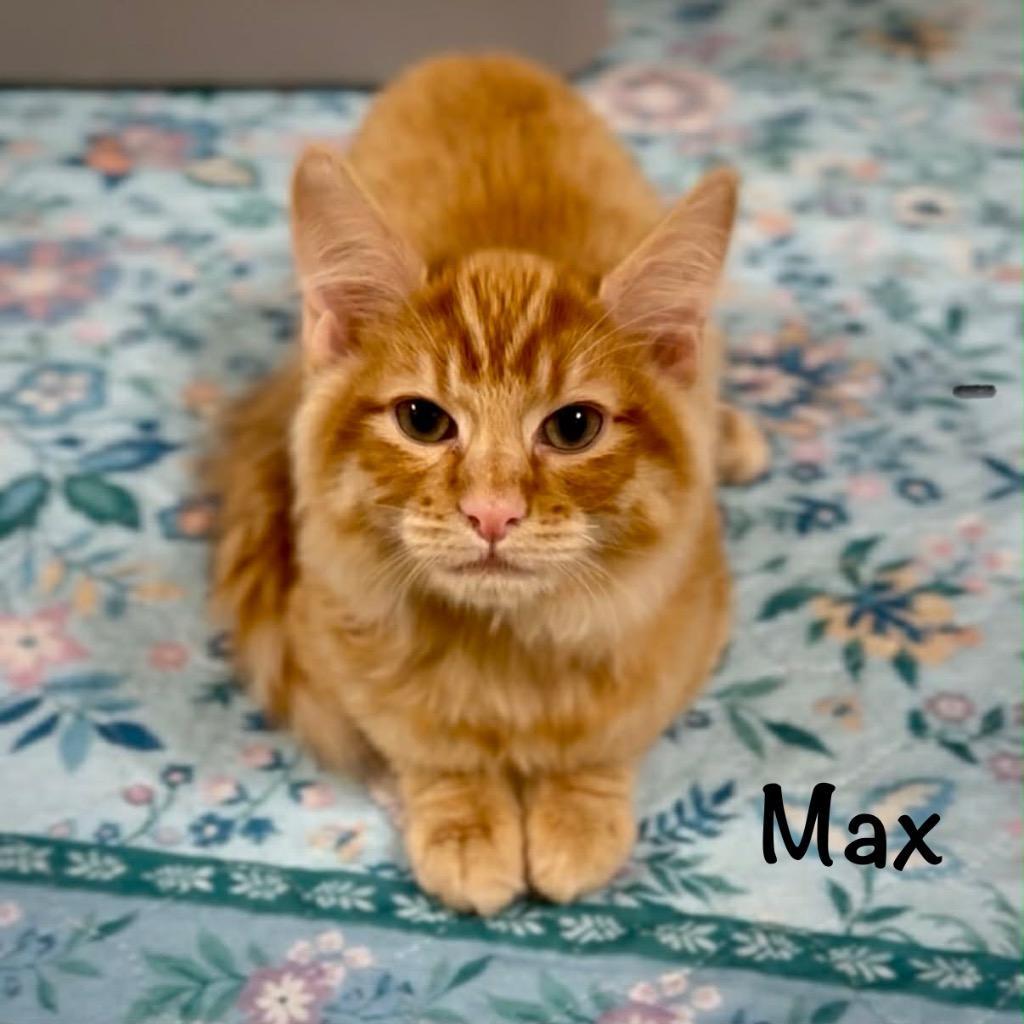 Max