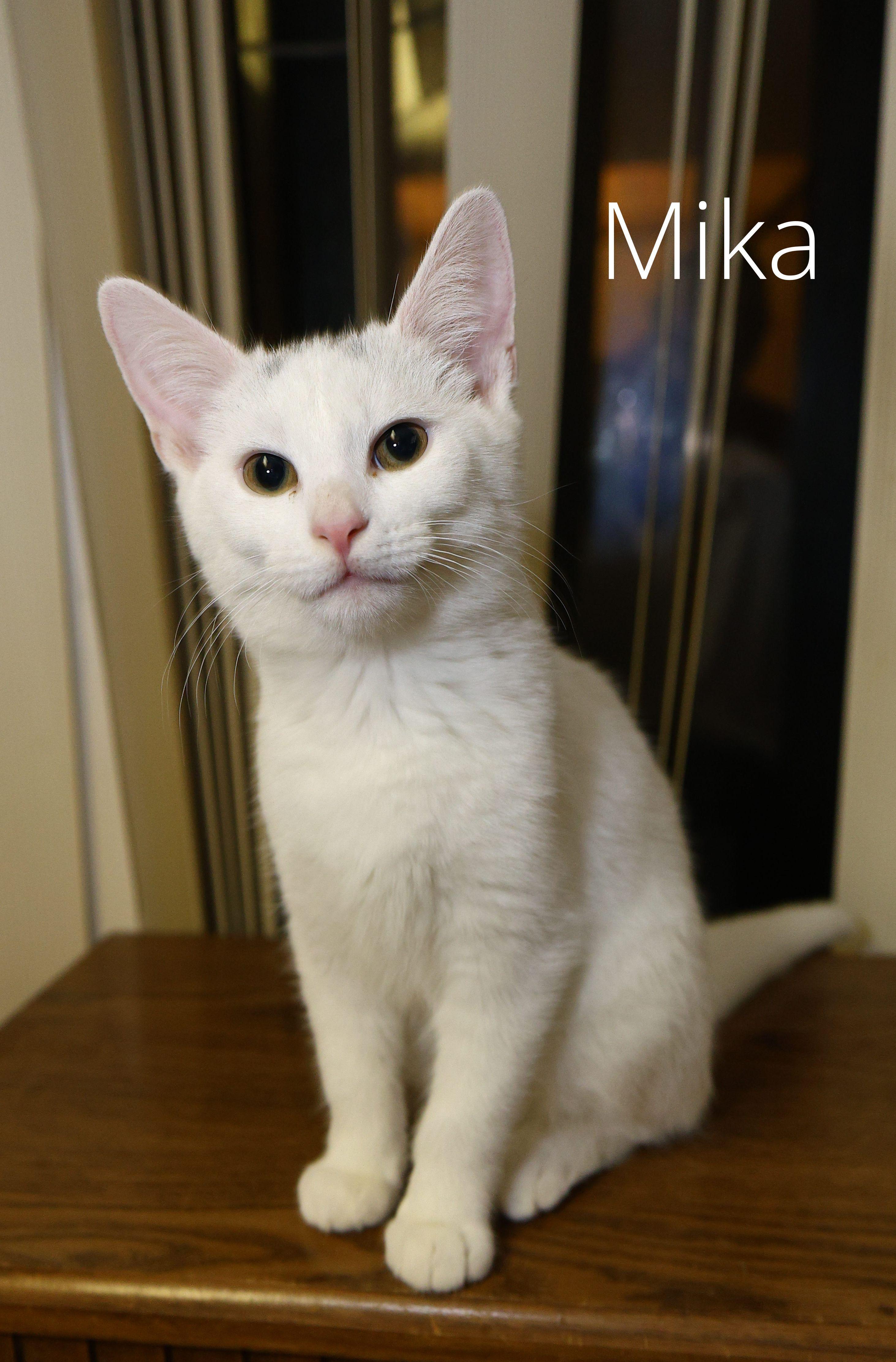 Mika