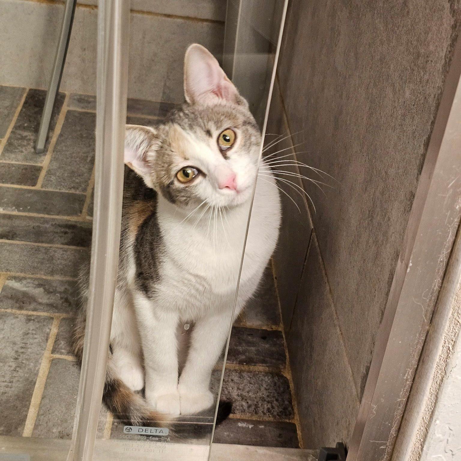 Jerry And Chrissie Are