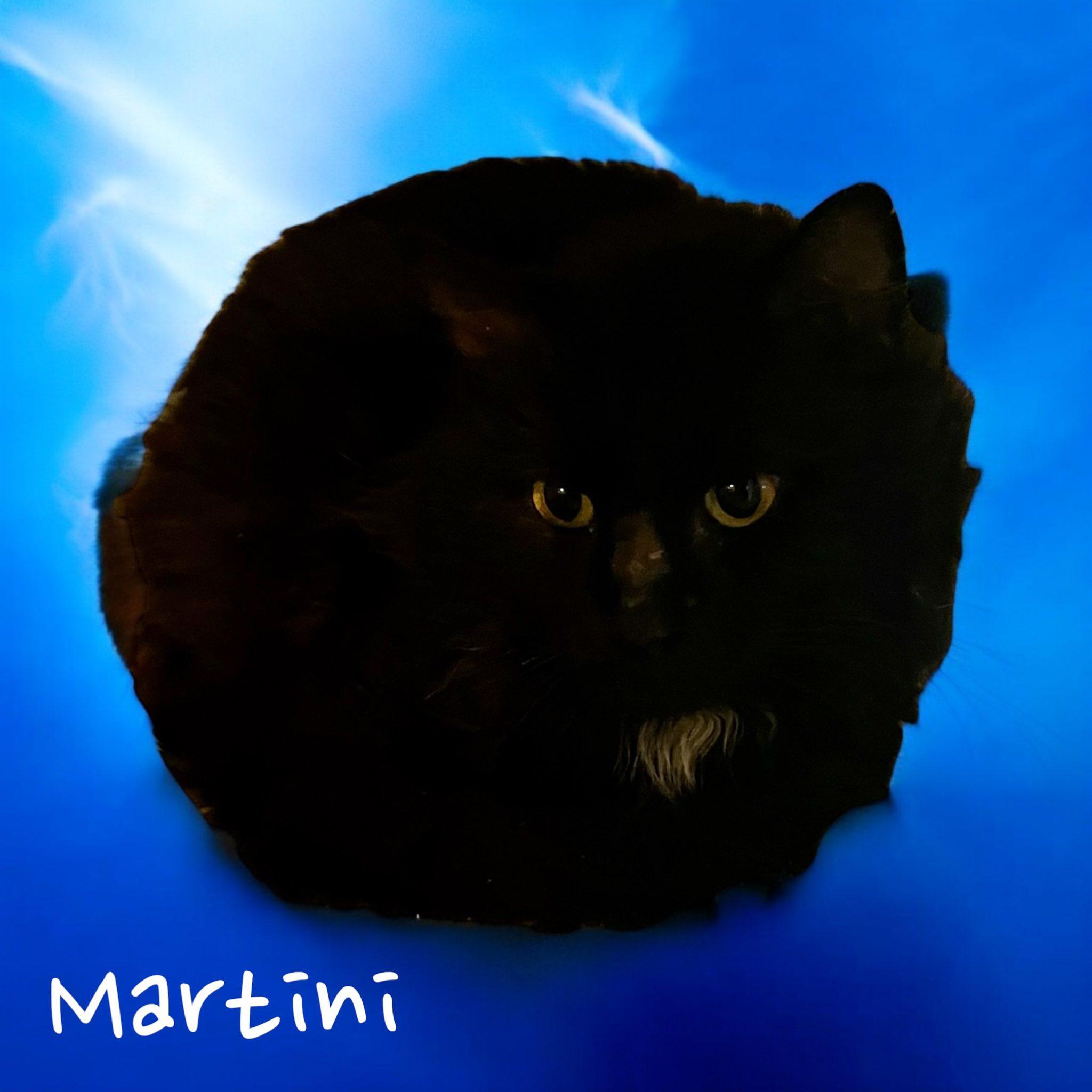 Martini