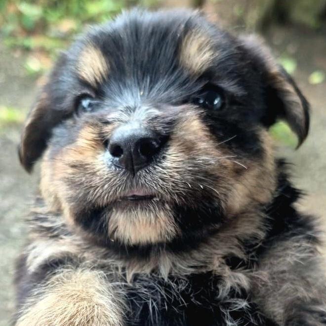 Vinnie "the Only Love