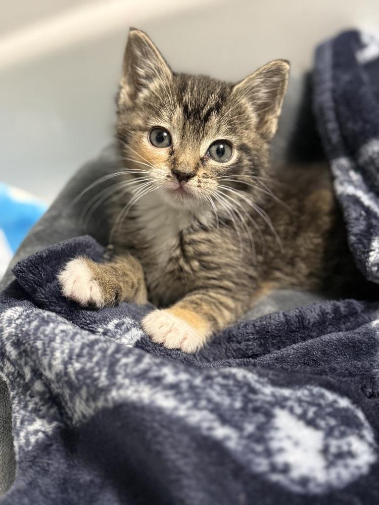 Hollywarehouse Single photo 1