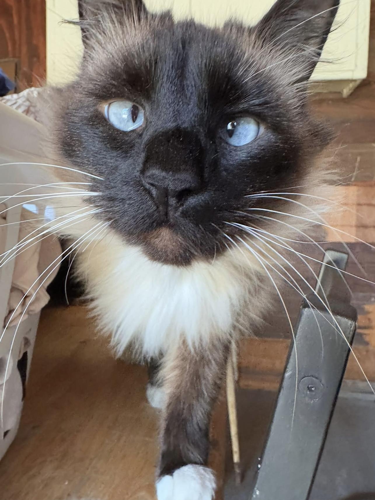 Ellie Bonded To Erik