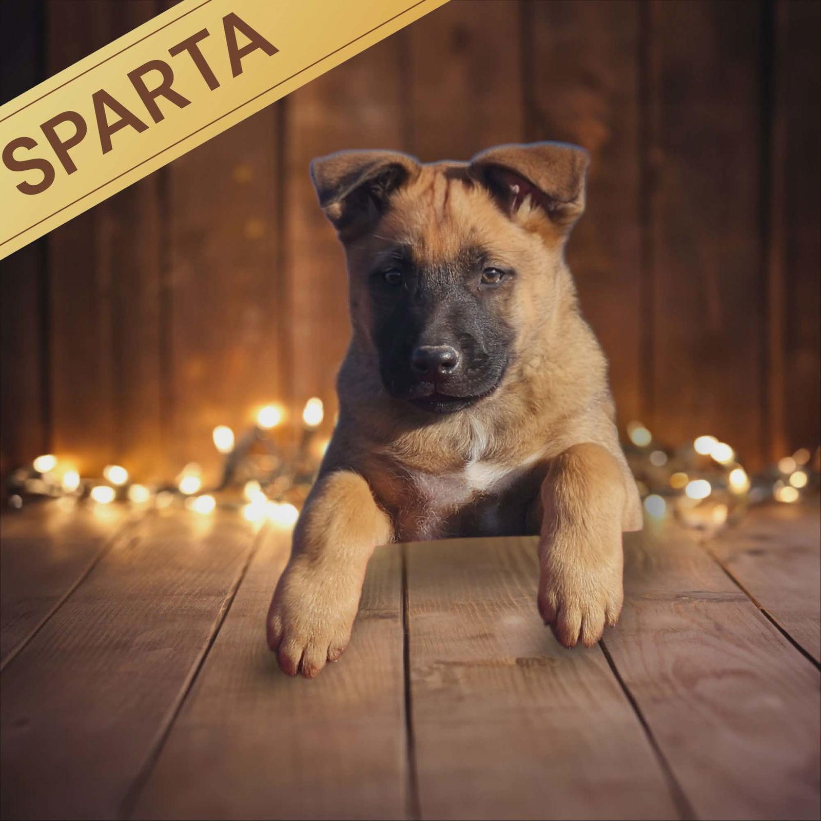Sparta