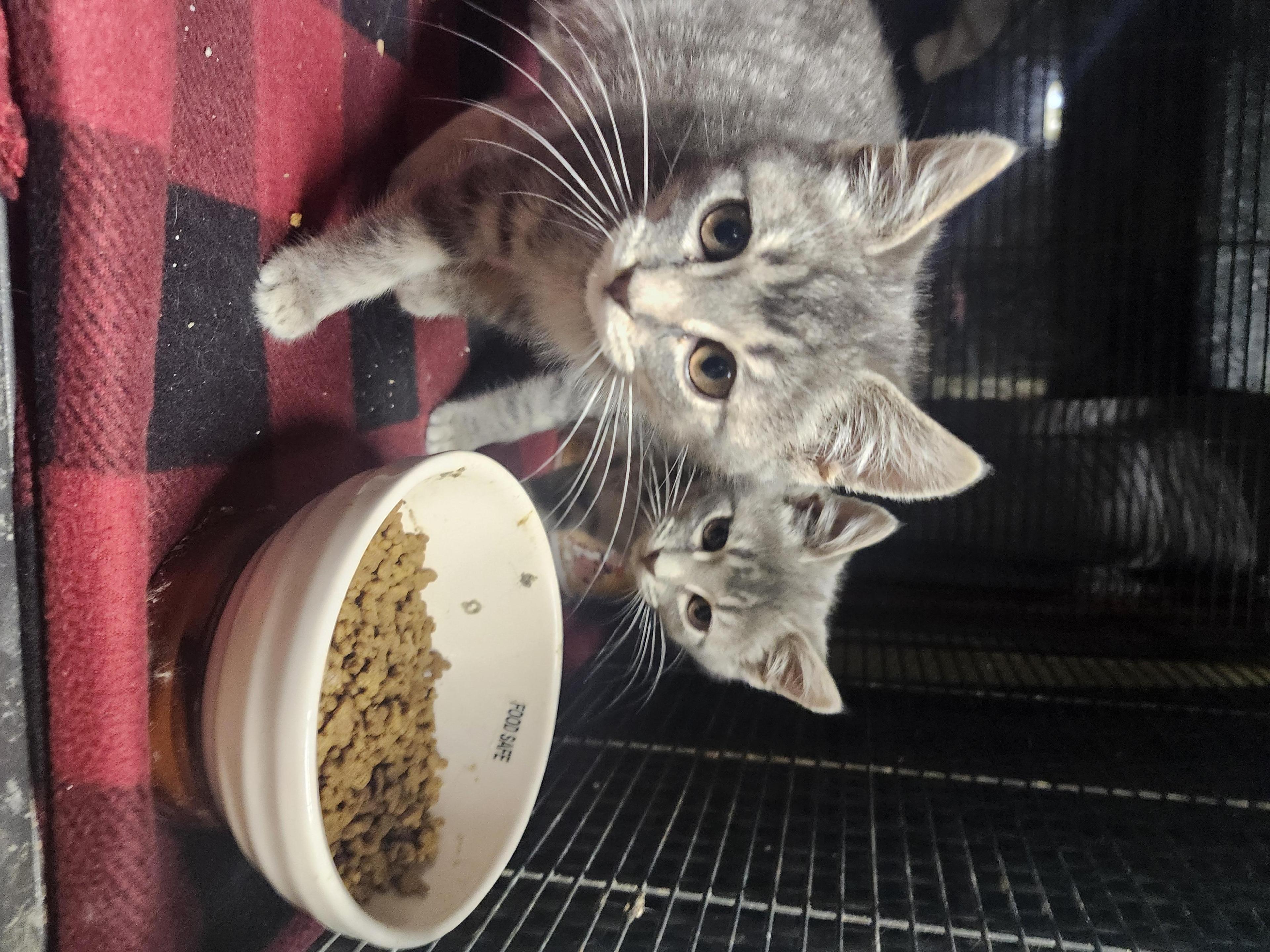 Peanut Butter And Jelly