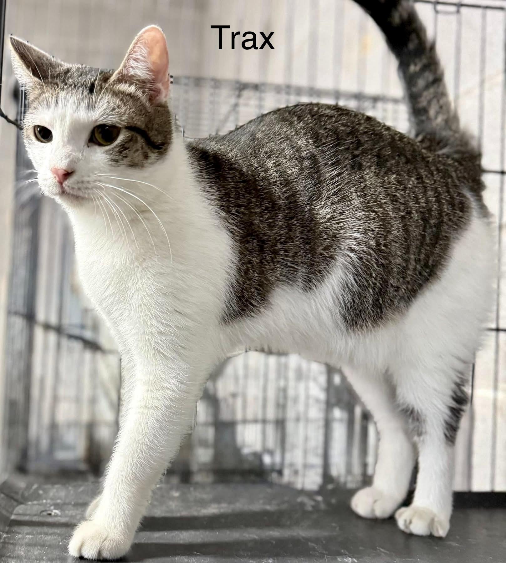 Trax