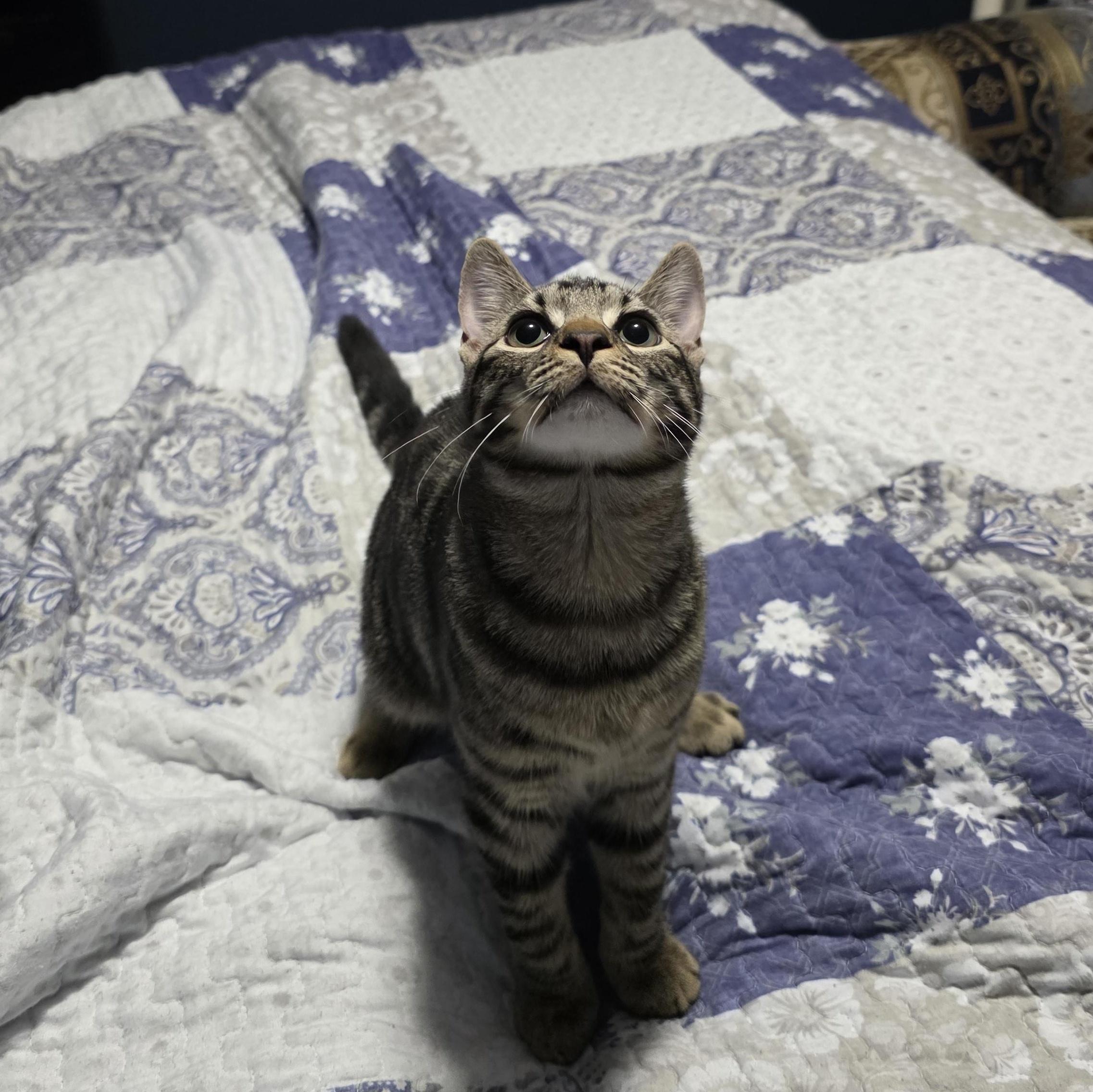 Shirley & Squiggy photo 1