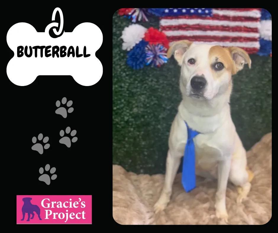 Butterball