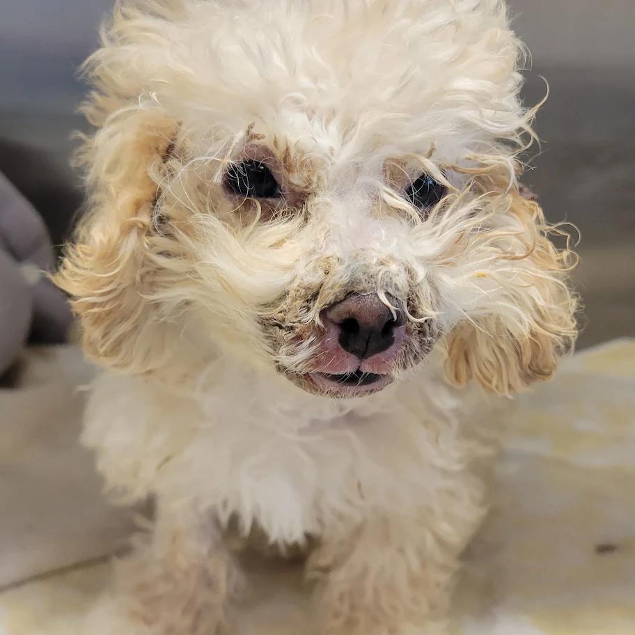 Cold Stone Creamery photo 1