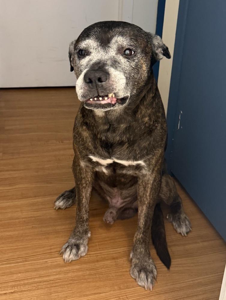 Grandpa Rocky photo 1