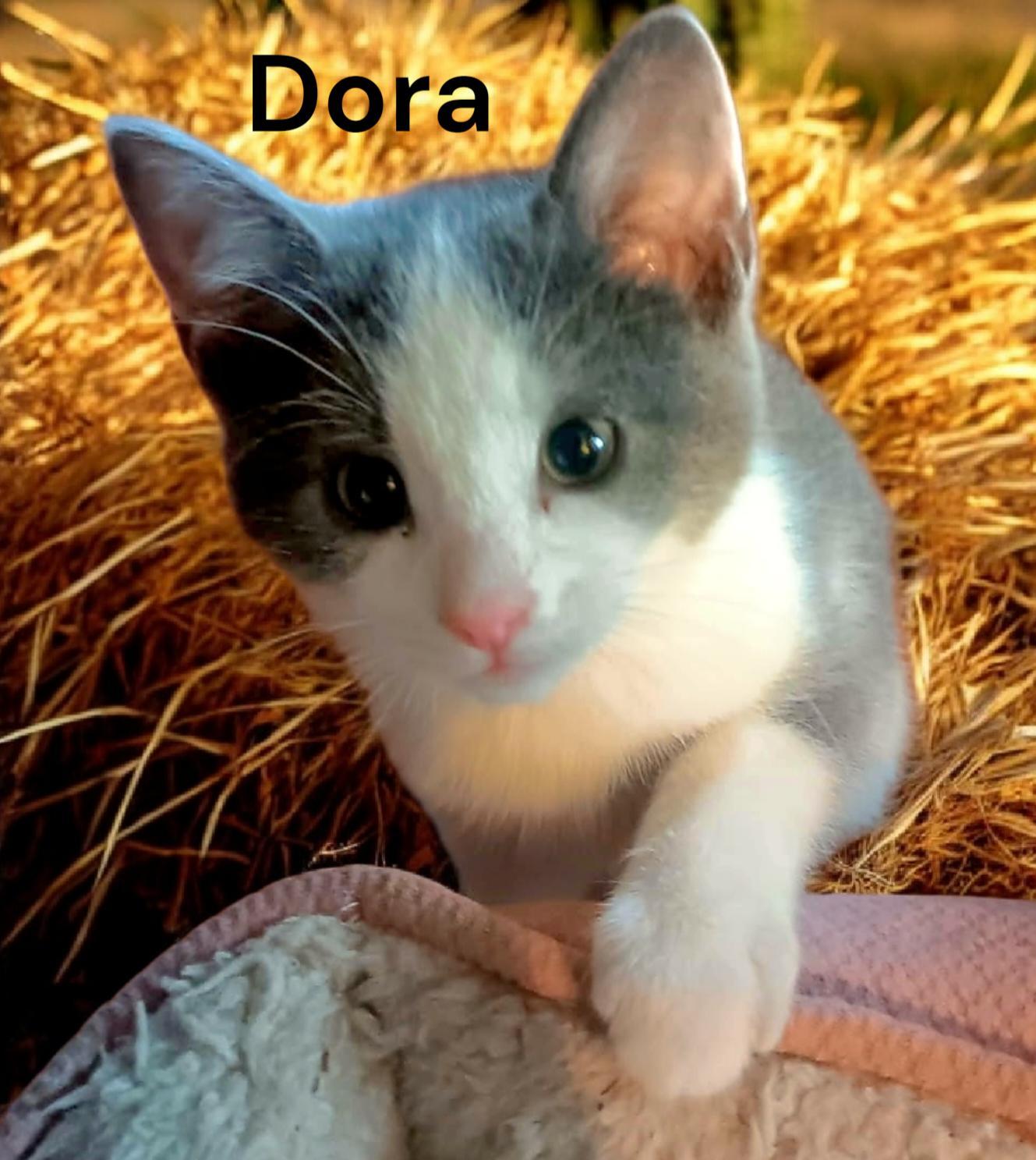 Dora