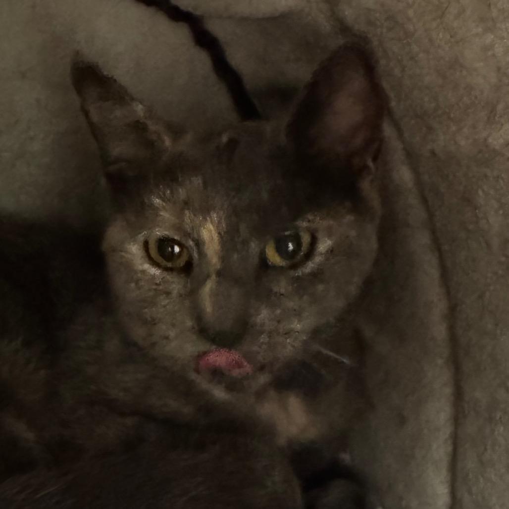 Georgie Girl photo 1