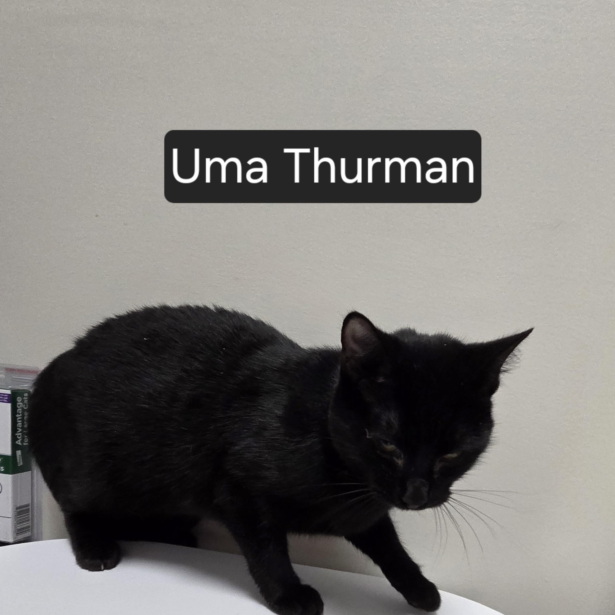 Uma