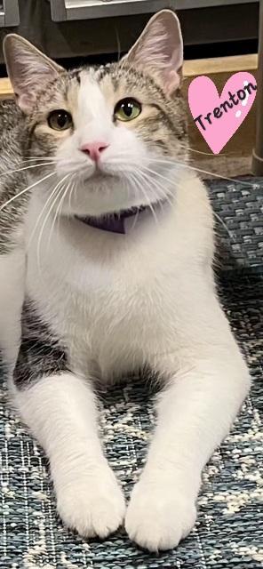 Trenton.....shares Hugs!! Fun