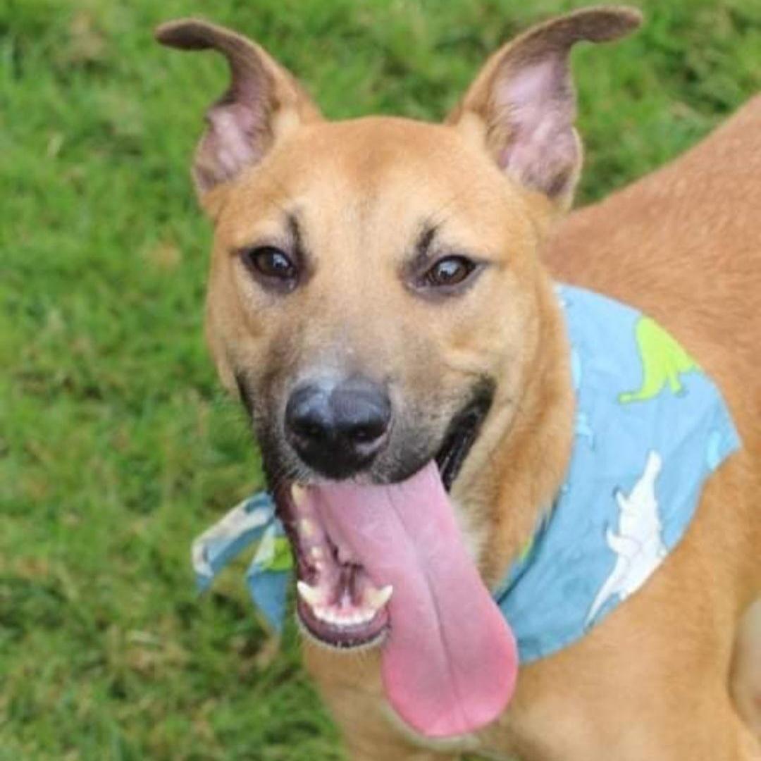 Timmy "a Loveable Guy!"