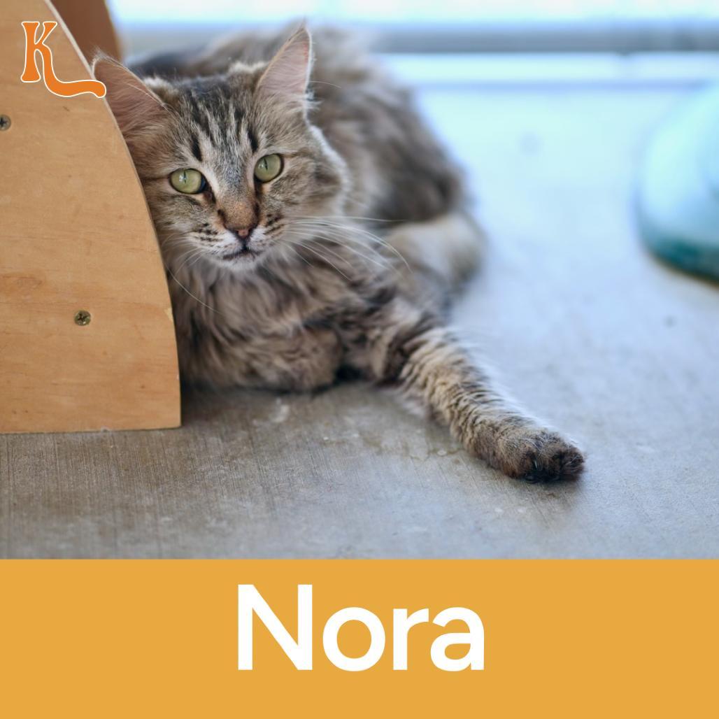 Nora