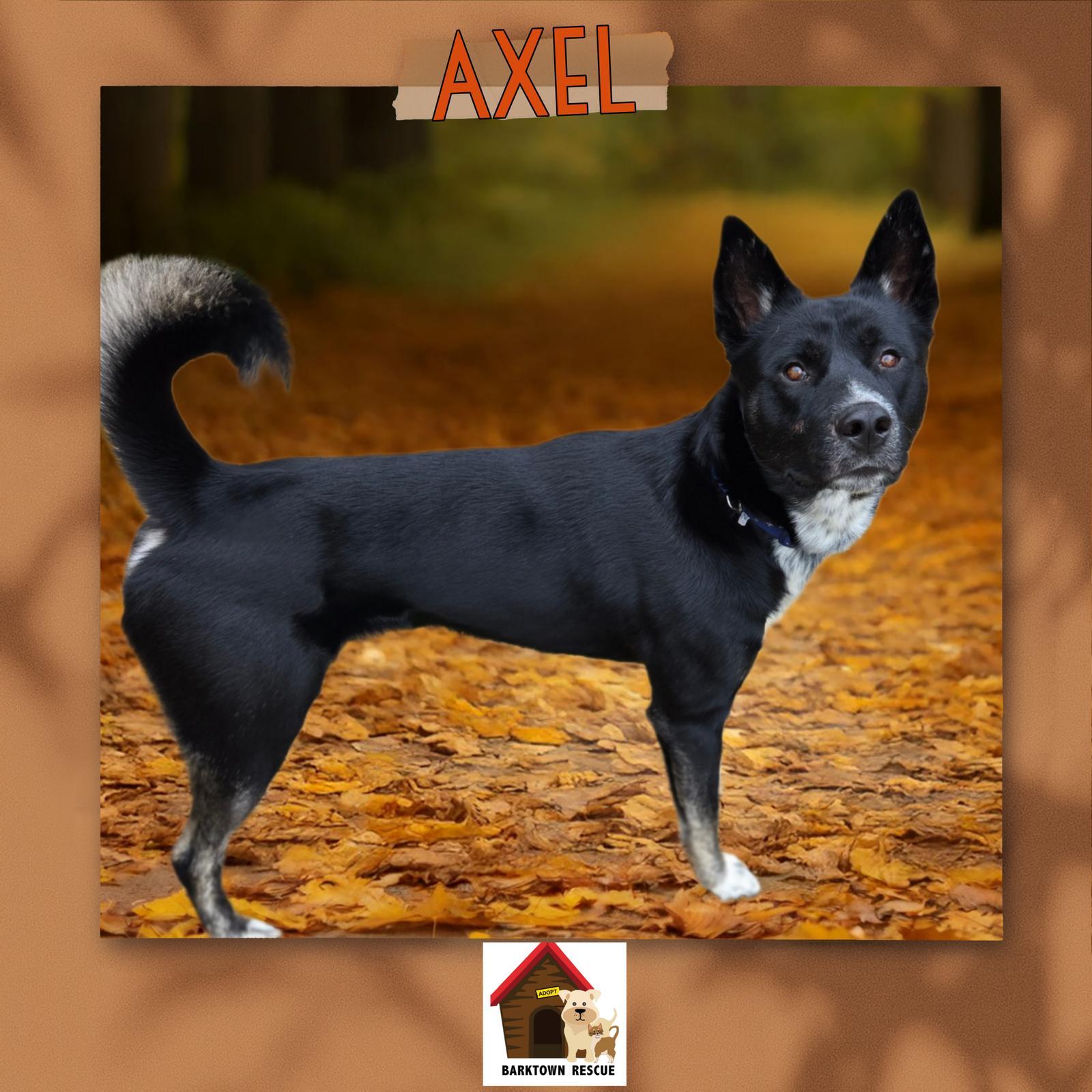 Axel