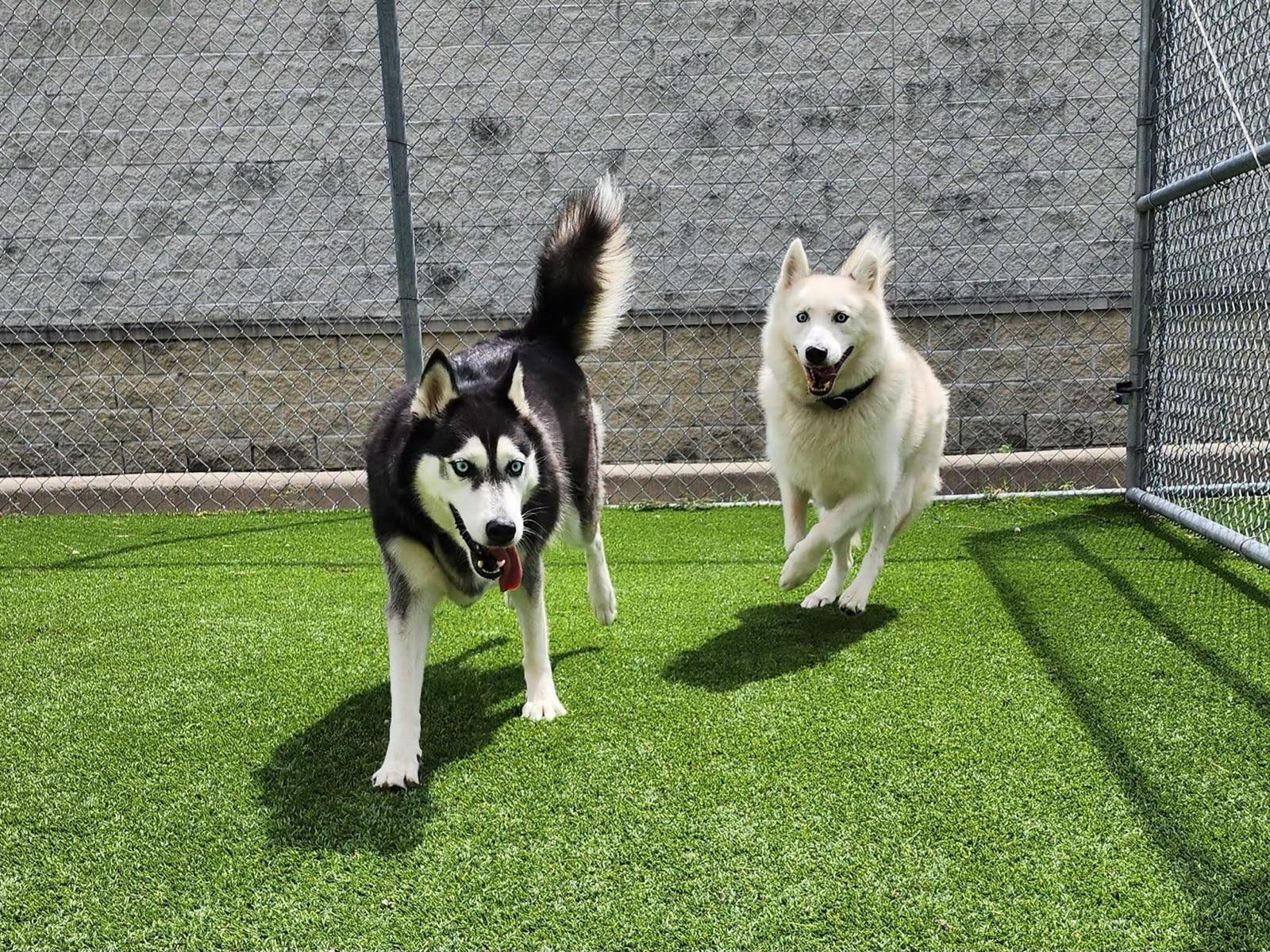 Axel And Canada :