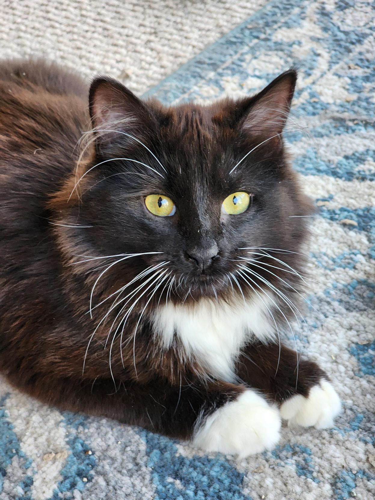 Jac Bonded With Steffan