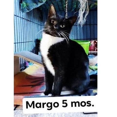 Margo