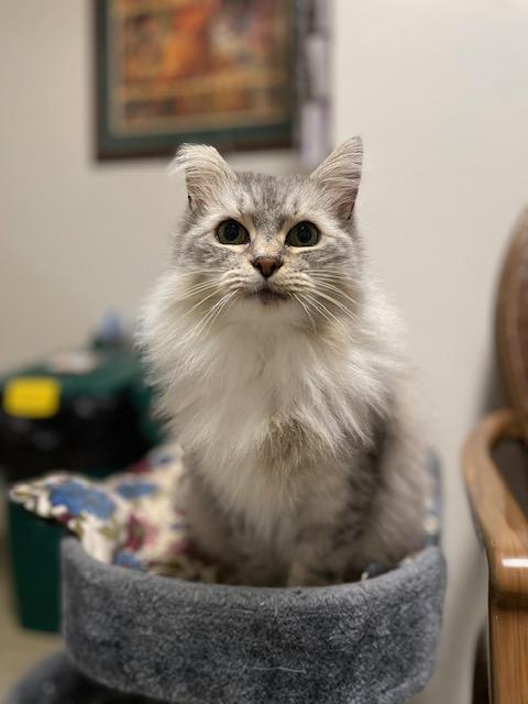 Jill And Ivanka photo 1