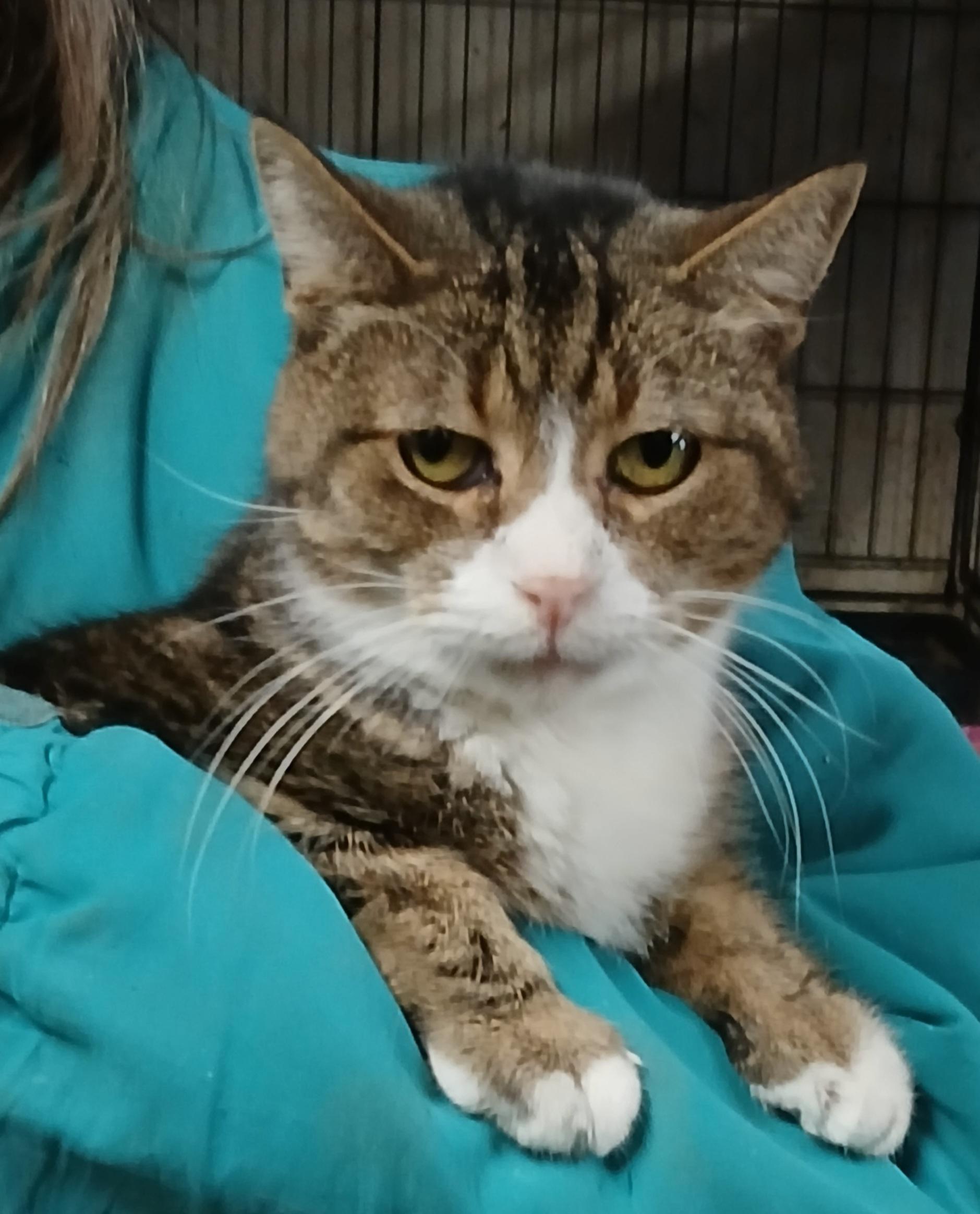 Mill Pond Neon Alert