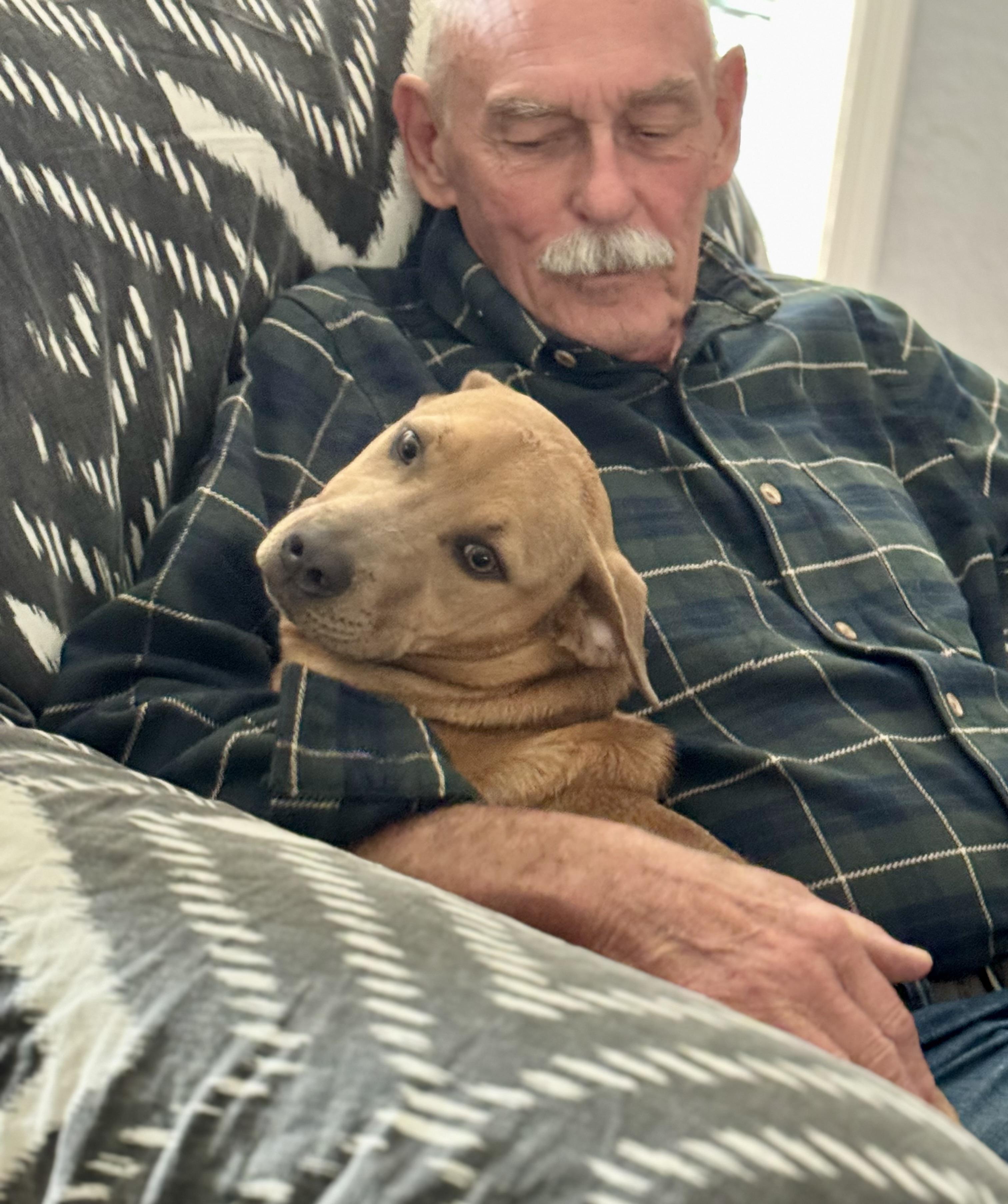 Sarabi…..beautiful Loving Lap