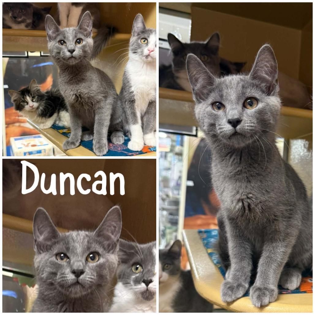 Duncan