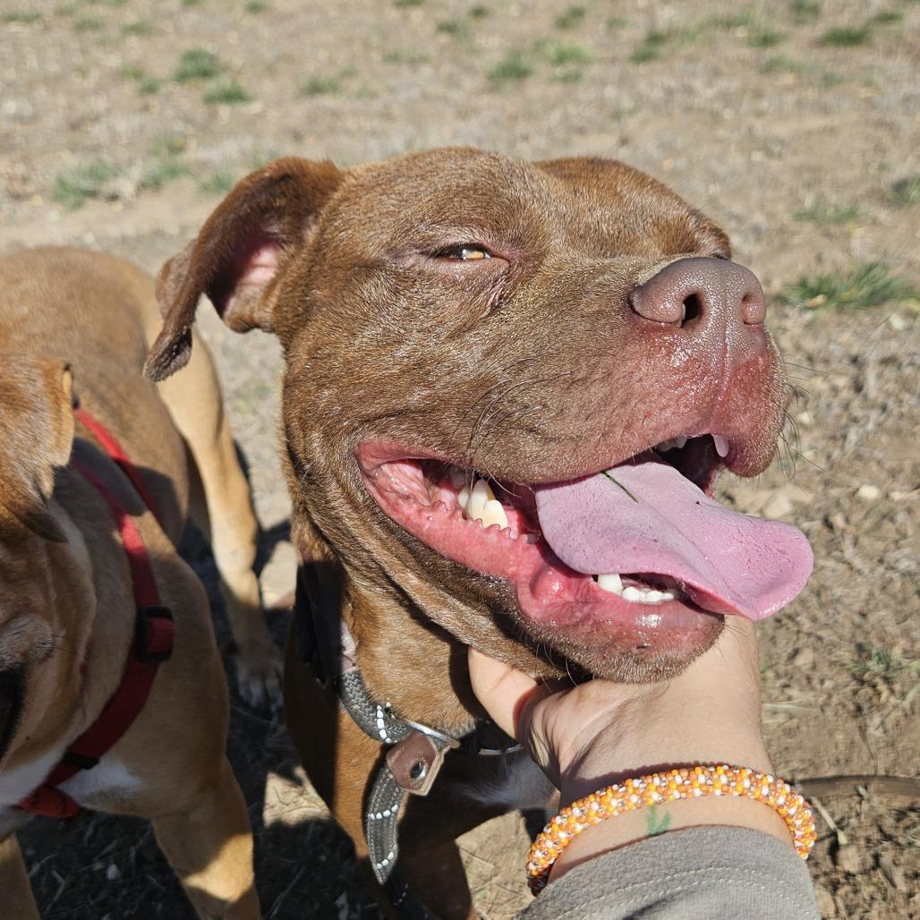 Muenster Need Another