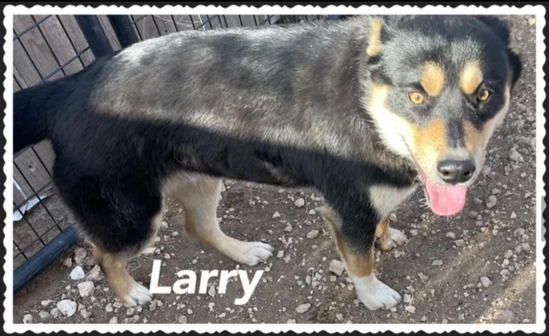 Larry