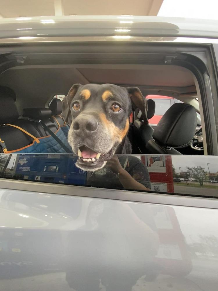 Richard Parker A 💜