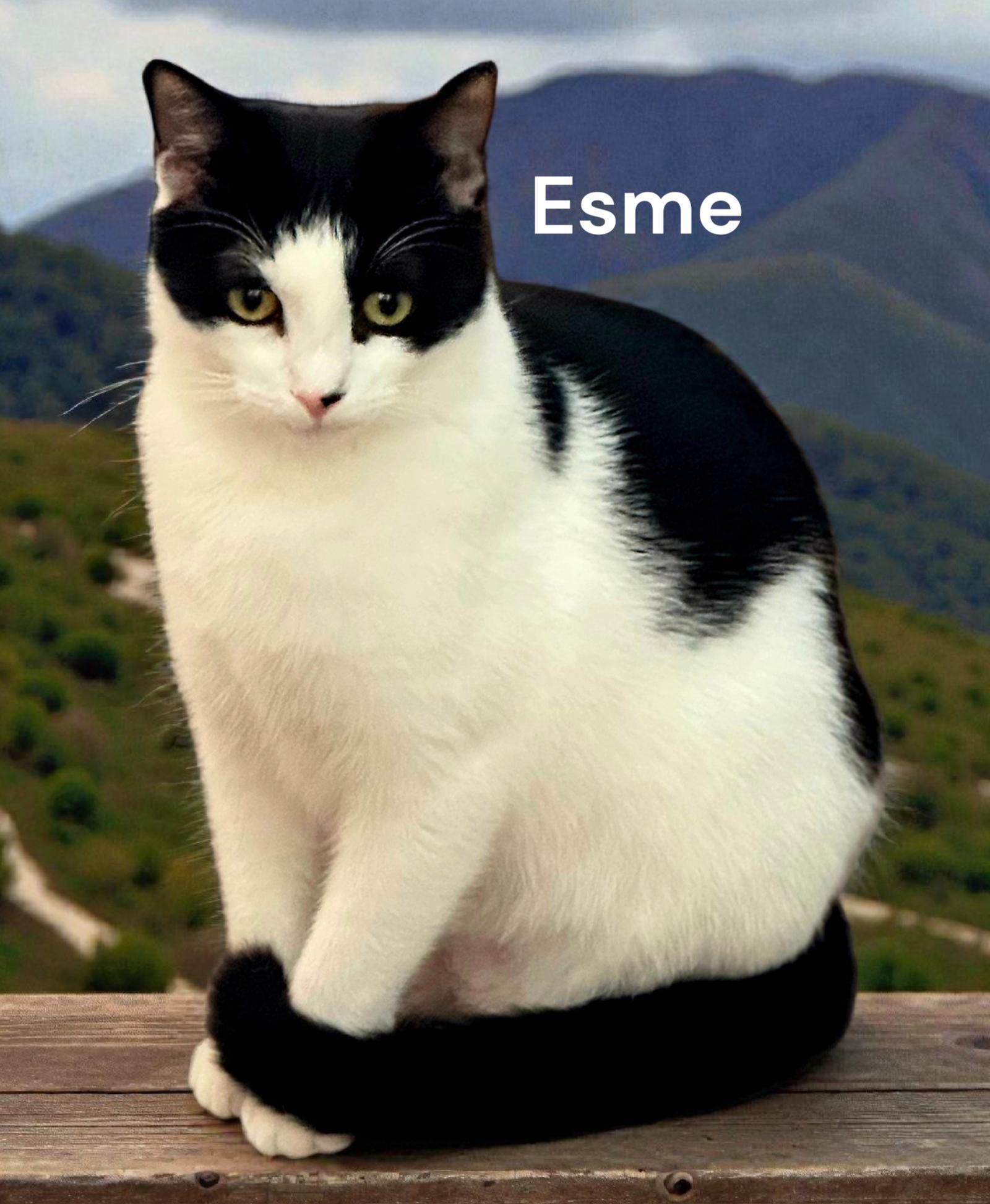 Esme