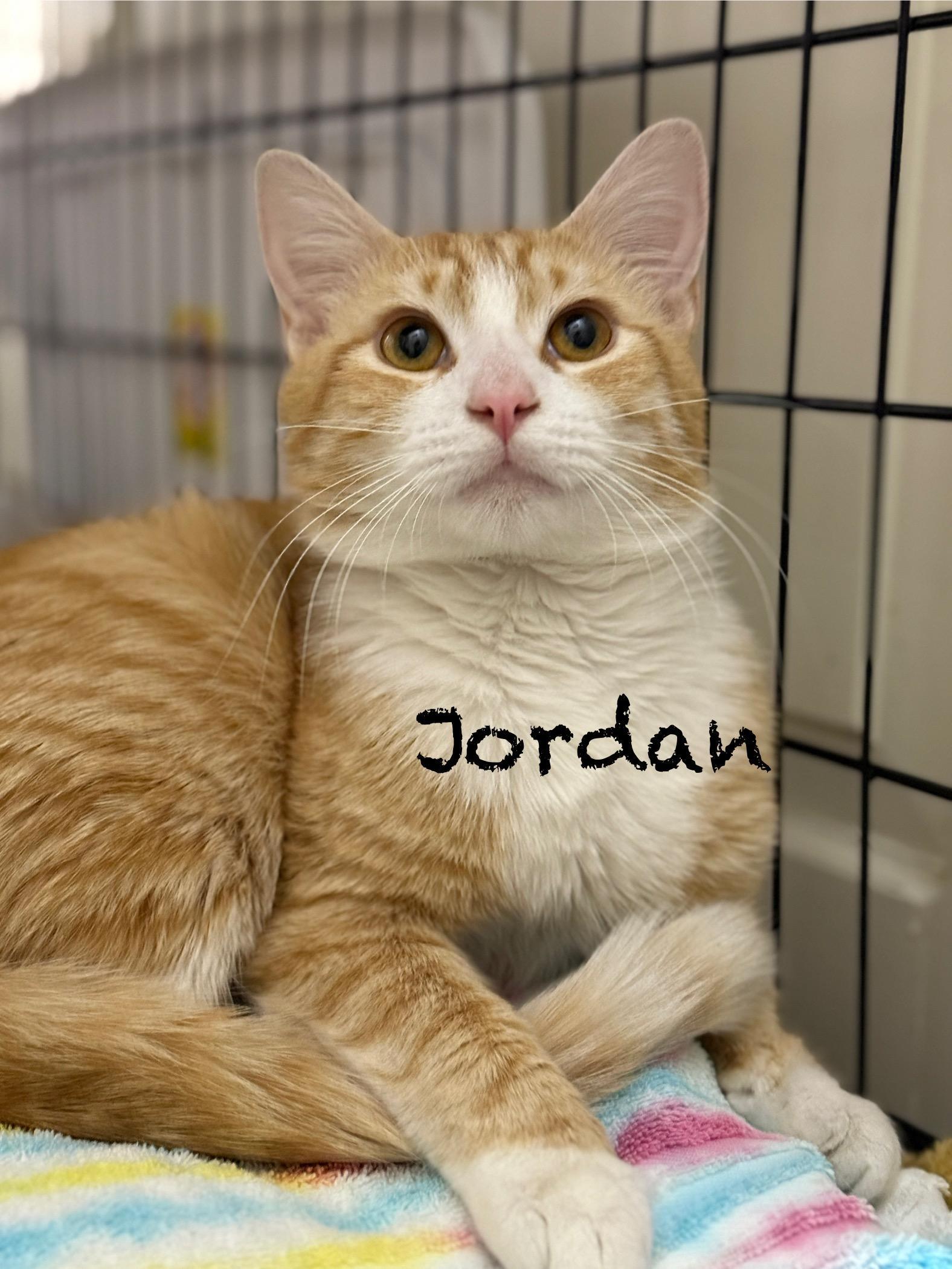 Jordan