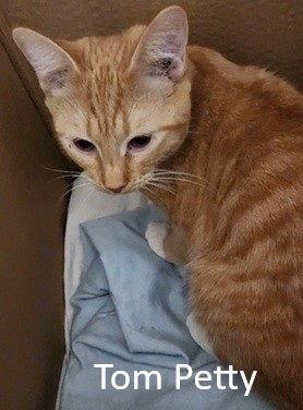 Tom Petty
