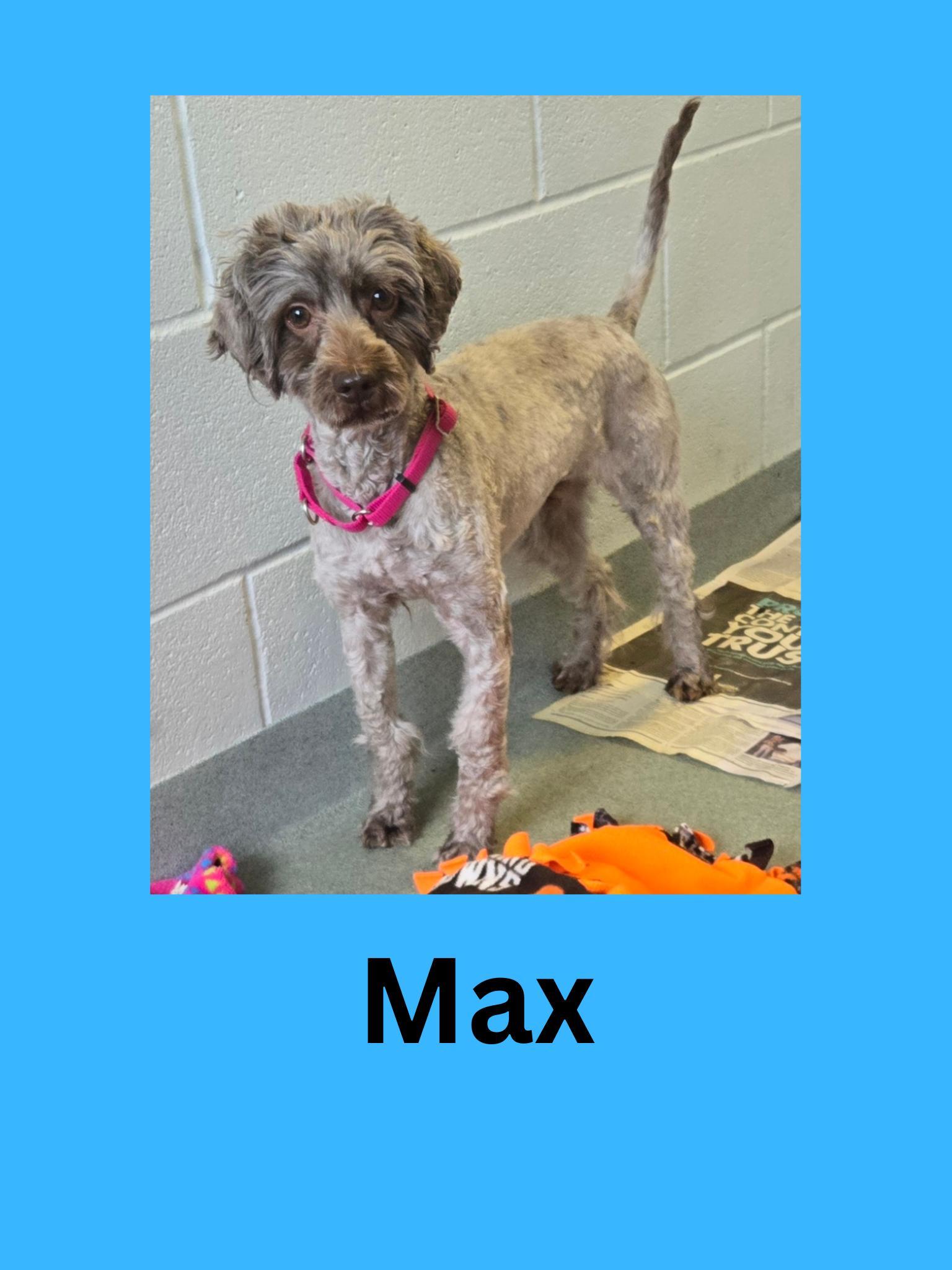 Max