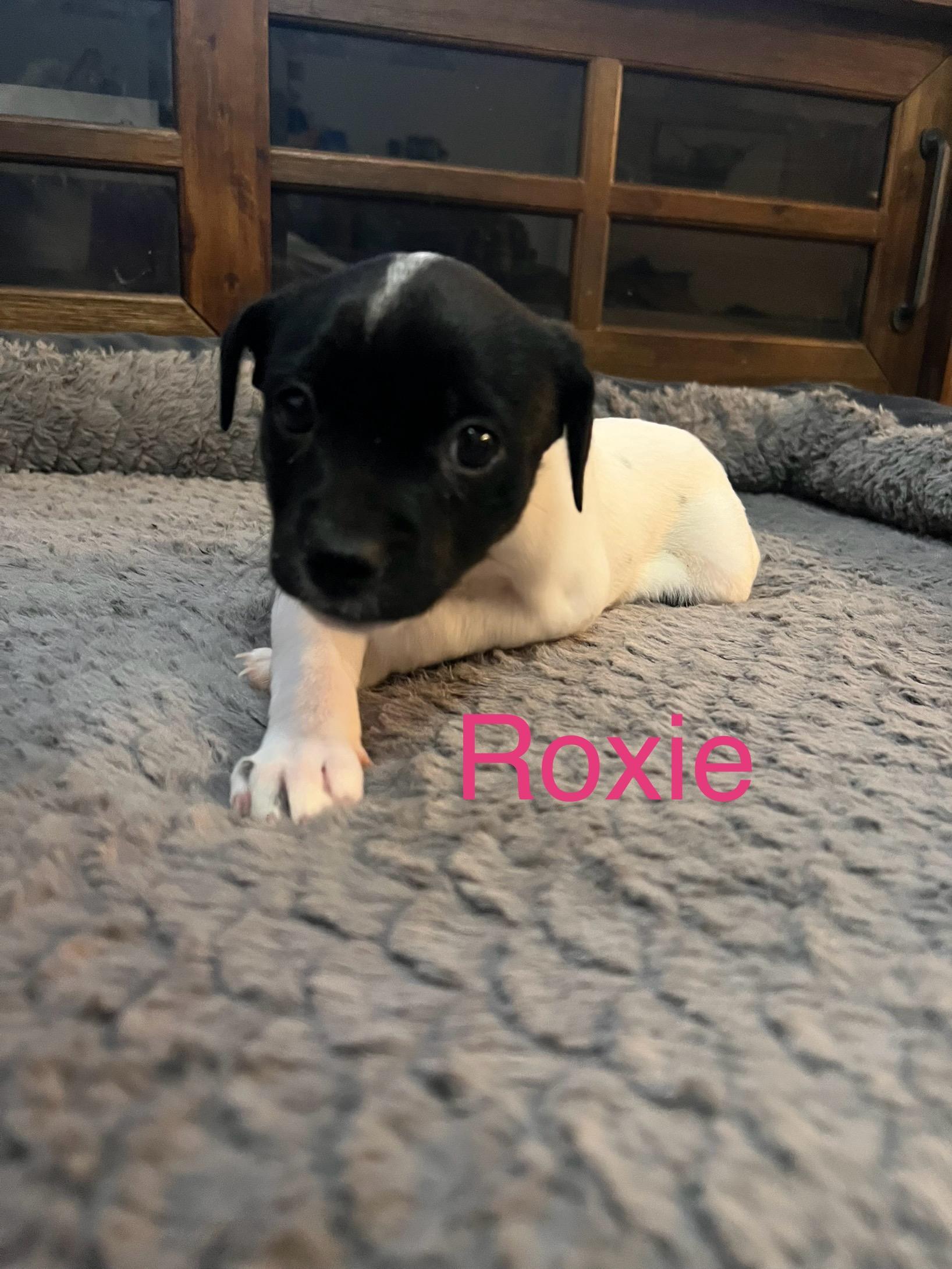 Roxie