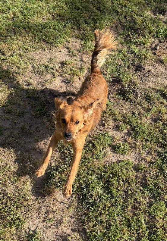 Gilbert Dixon photo 1