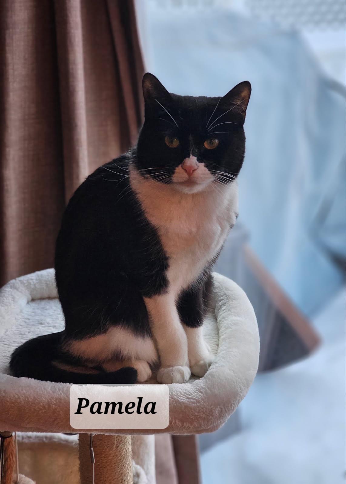 Pamela