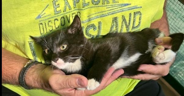 Mimi East Meadow photo 1