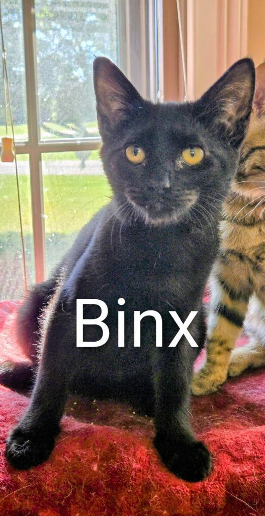 Binx