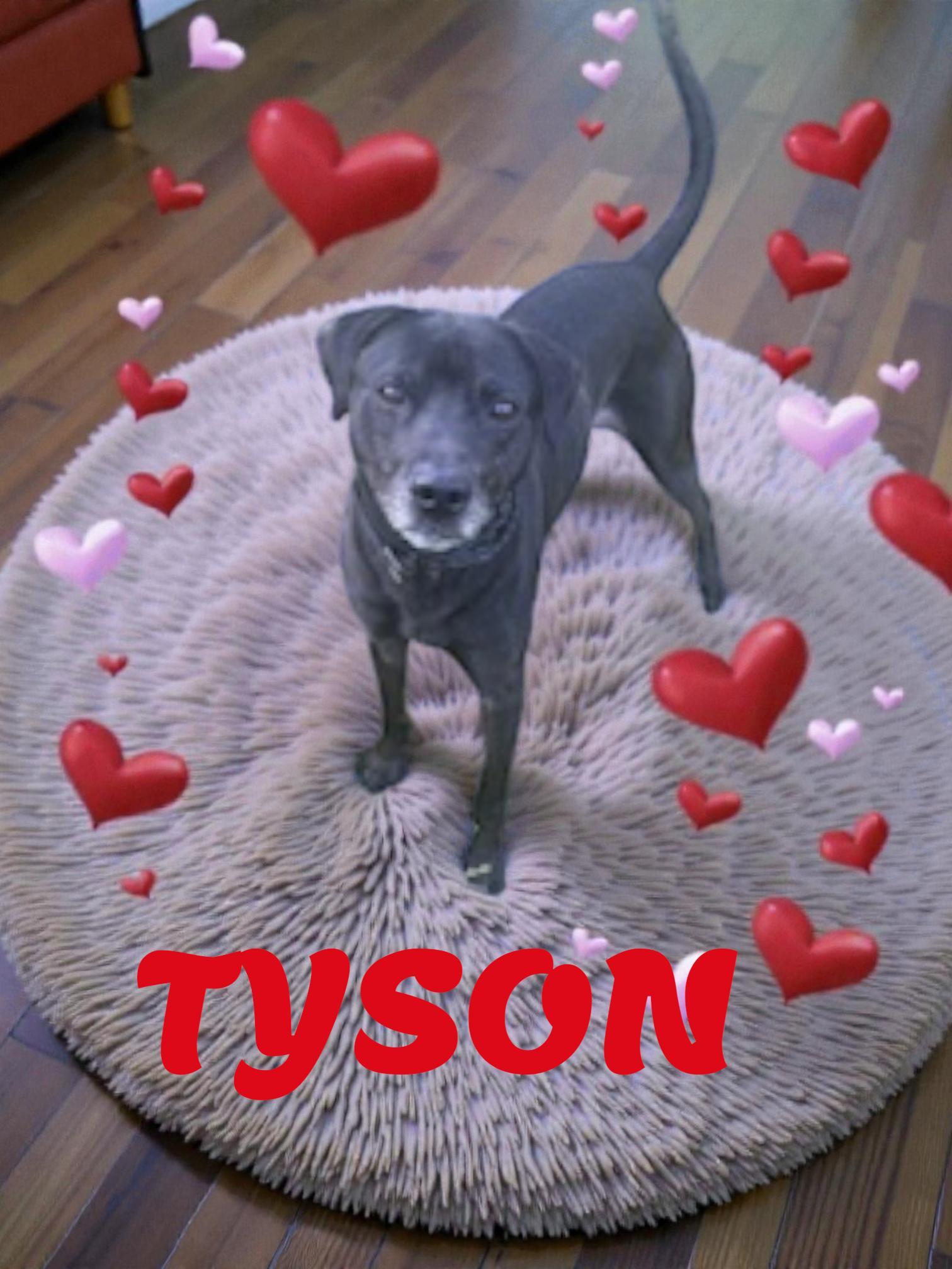 Tyson