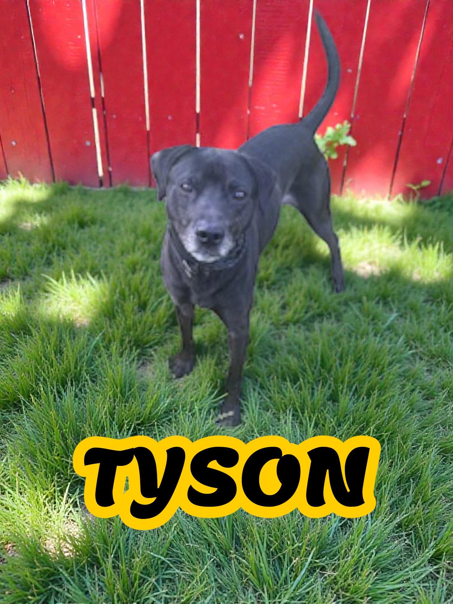 Tyson