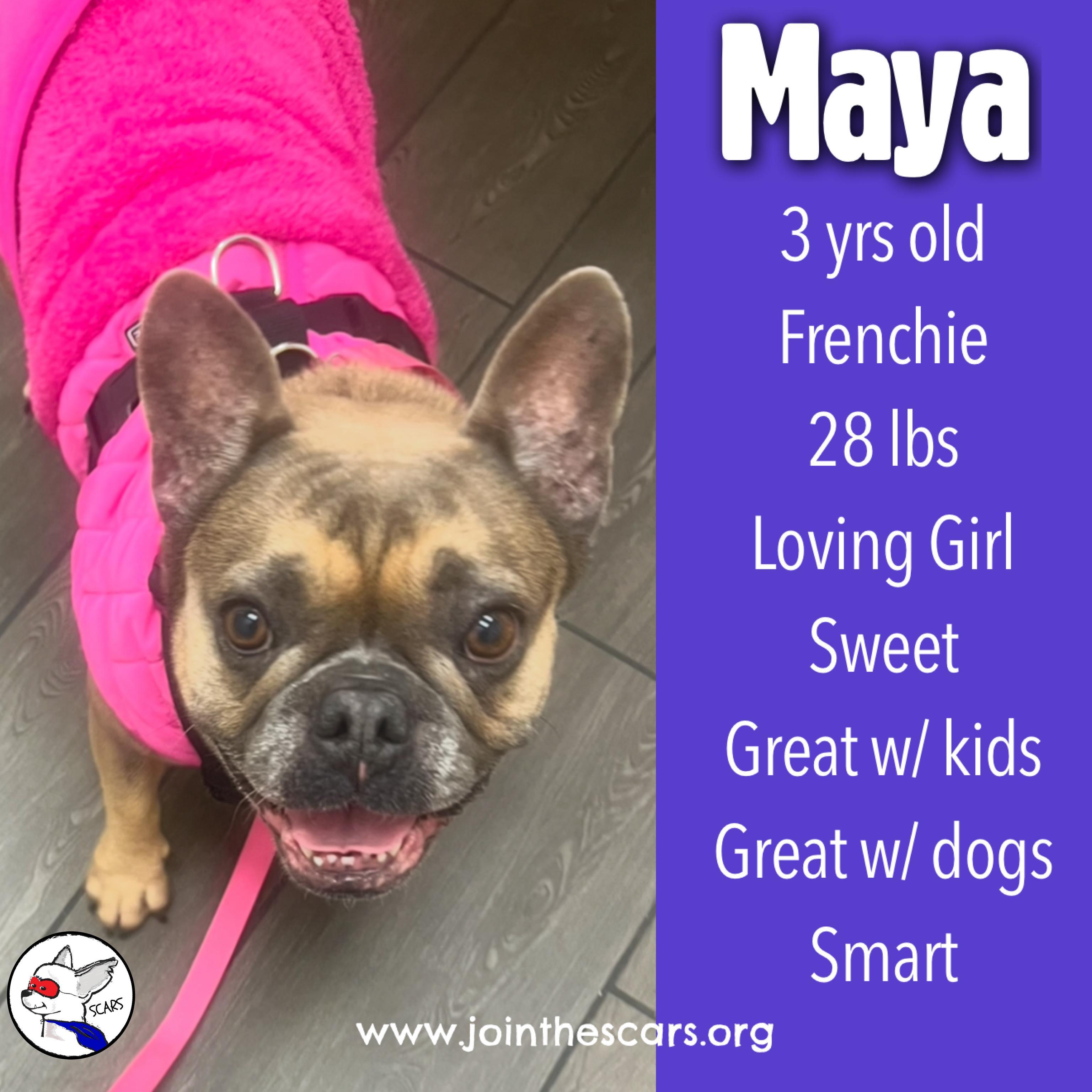 Maya