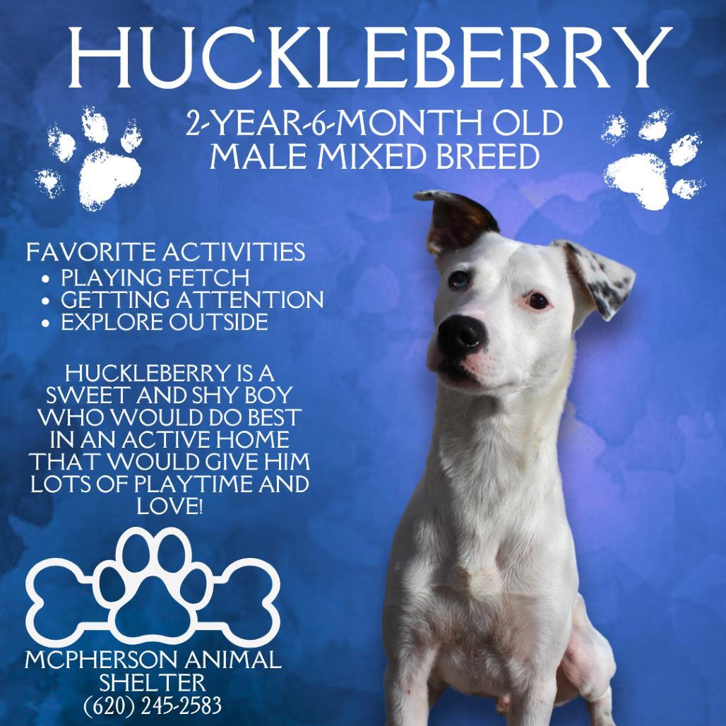 Huckleberry photo 1