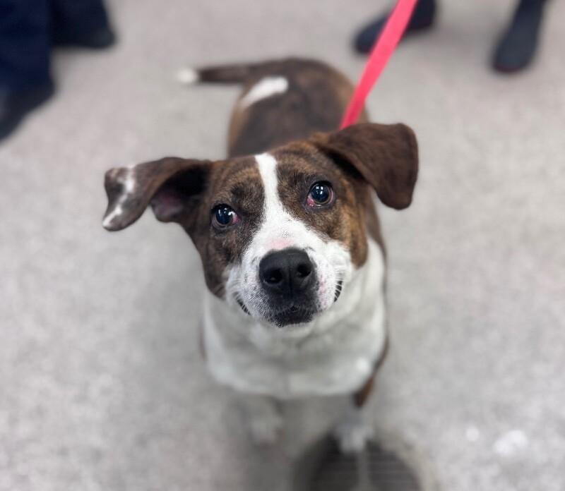 Emmie Lou Aka Dorothy